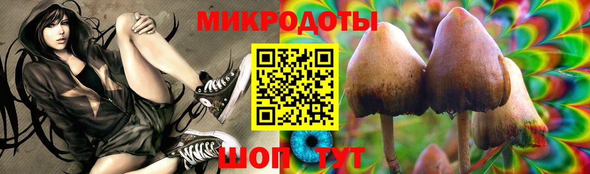 Куйбышев  Псилоцибиновые грибы Magic Shrooms  Вход с VPN 